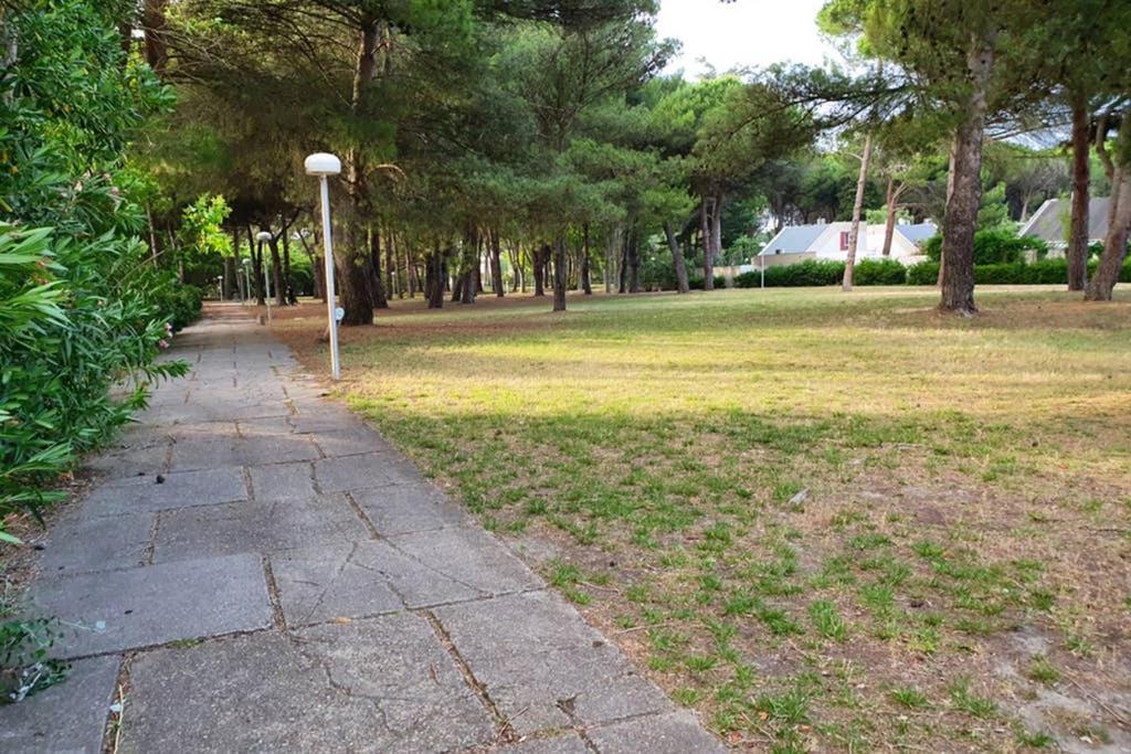 Studio Cabines 6 Couchages 150 M De La Plage Et A Quelques Secondes Des Commerces Wifi Gratuit Ла-Гранд-Мот Экстерьер фото